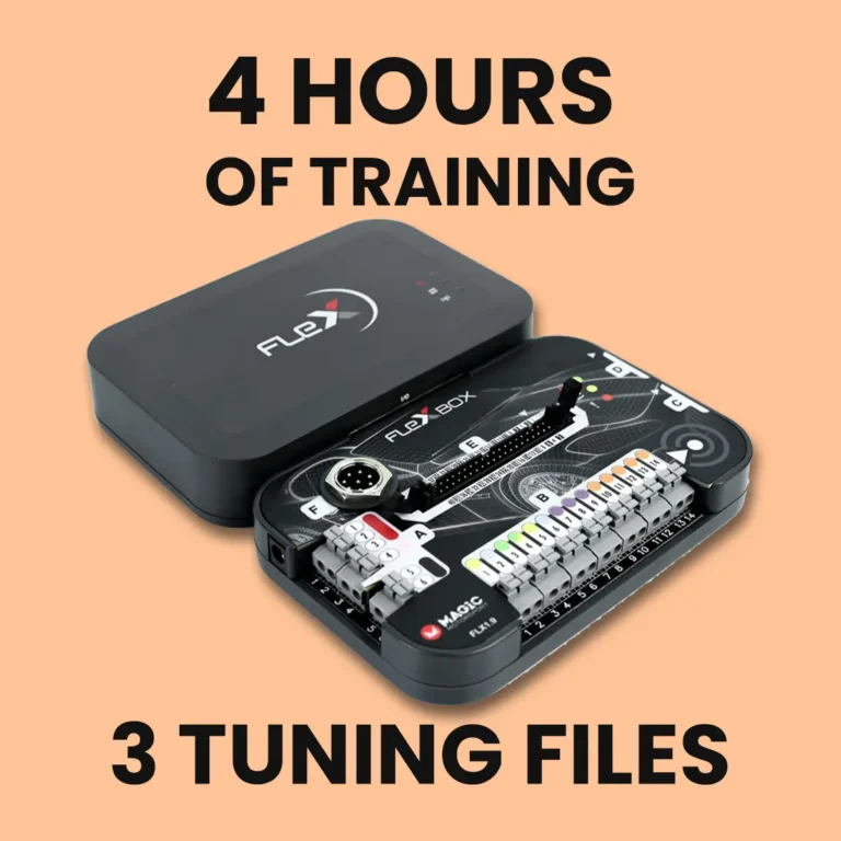 flex basic trainingsquare-FIN-autotuner-tool-flex-ecu-back-to-stock